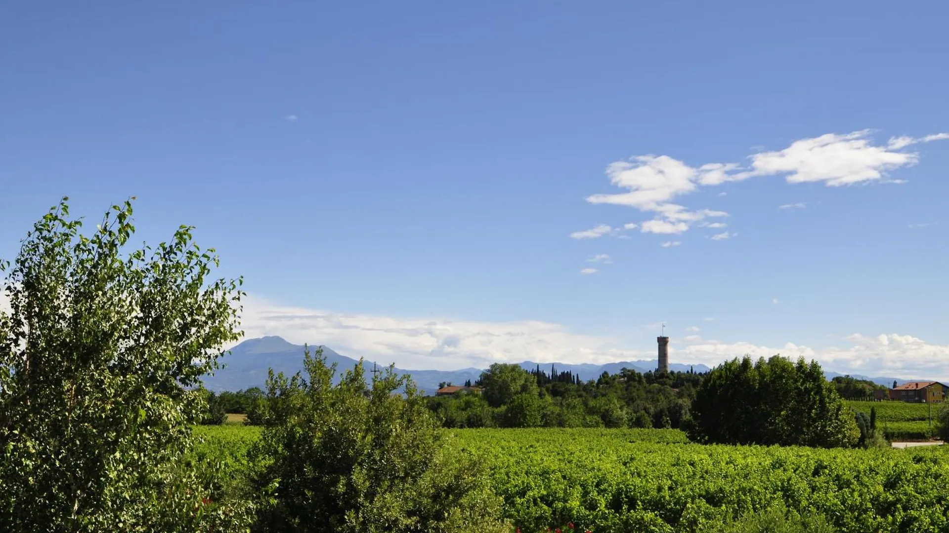 Borgo San Donino Guest House Desenzano del Garda 0*,  Italy